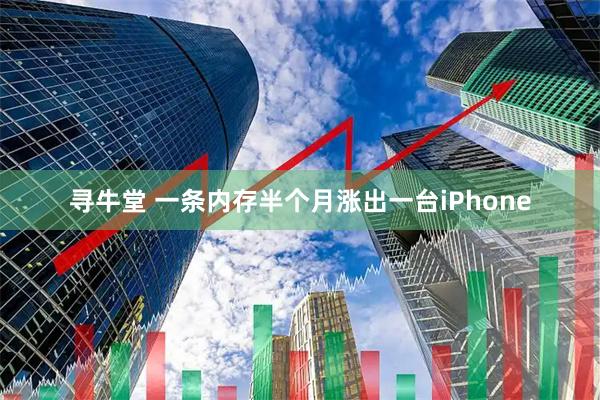 寻牛堂 一条内存半个月涨出一台iPhone