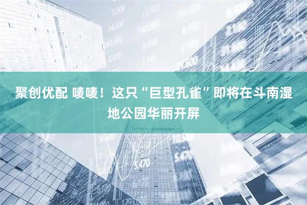聚创优配 唛唛！这只“巨型孔雀”即将在斗南湿地公园华丽开屏