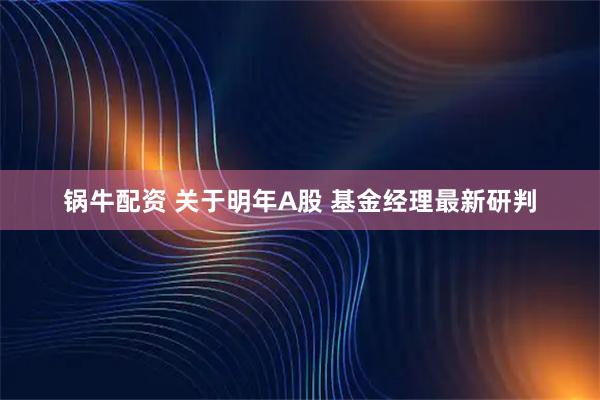 锅牛配资 关于明年A股 基金经理最新研判