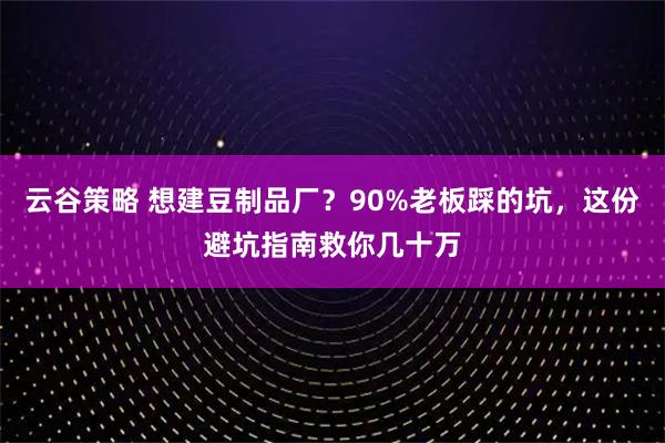 云谷策略 想建豆制品厂？90%老板踩的坑，这份避坑指南救你几十万