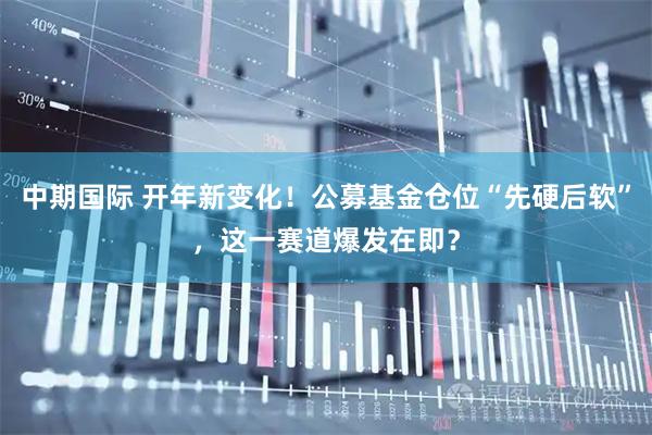 中期国际 开年新变化！公募基金仓位“先硬后软”，这一赛道爆发在即？