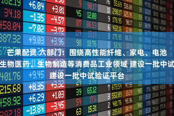 芒果配资 六部门：围绕高性能纤维、家电、电池、日化、生物医药、生物制造等消费品工业领域 建设一批中试验证平台