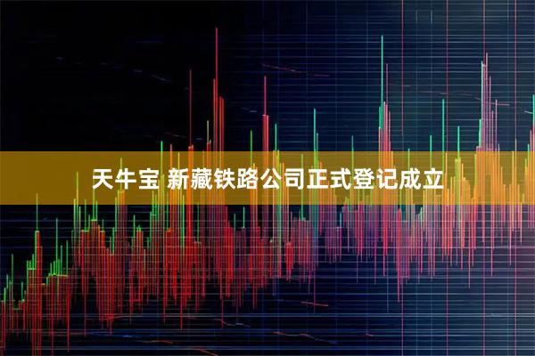 天牛宝 新藏铁路公司正式登记成立